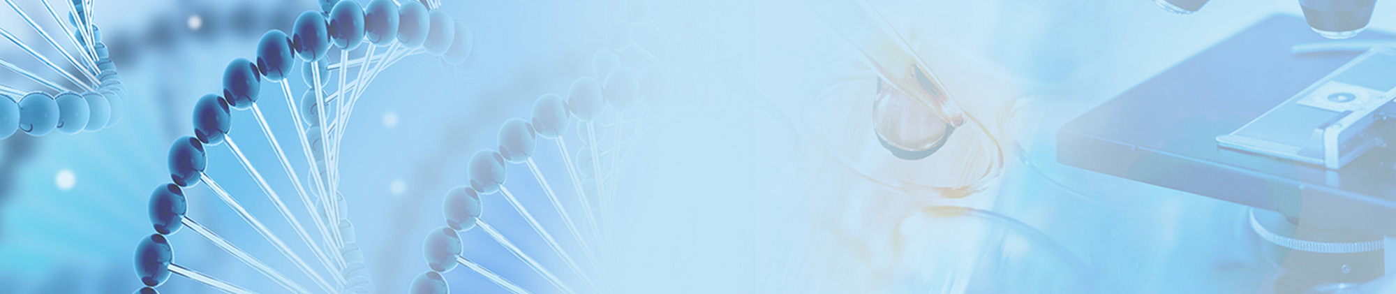 banner1